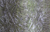 Sevenoaks Weald fibreglass roof work